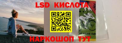 PSILOCYBIN Можайск