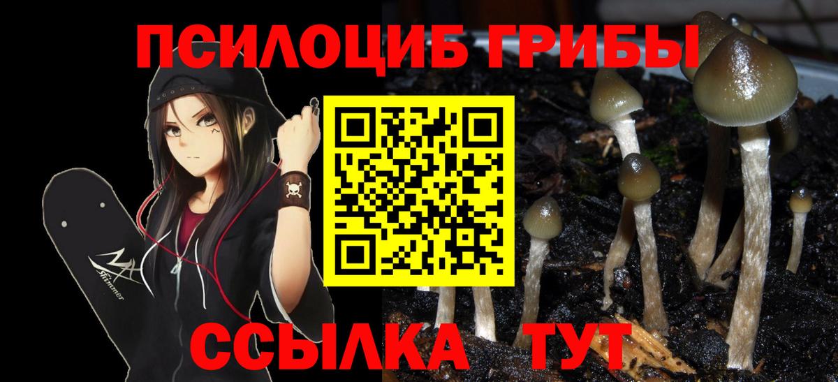 Псилоцибиновые грибы ЛСД Чусовой